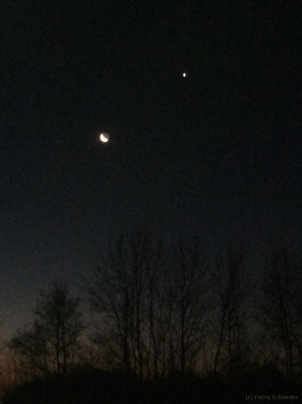 Mond und Venus am 8. Dezember über Bad Honnef (Siebengebirge), (c) Petra Schlieder