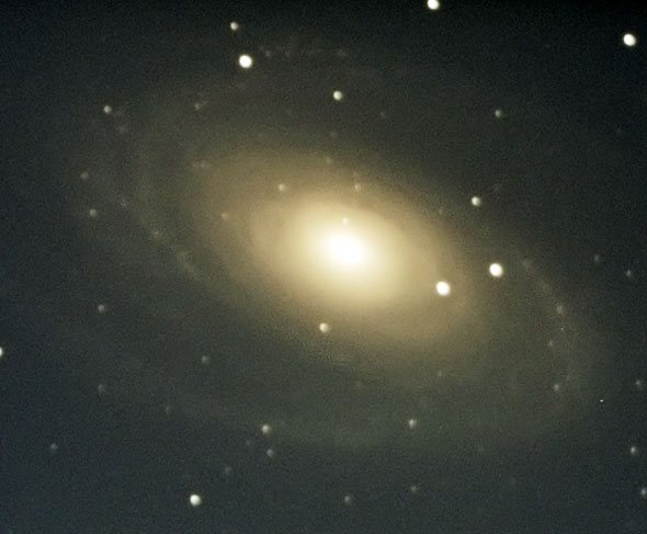 m81