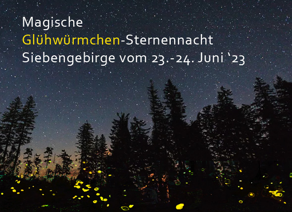 Gluehwuermchen-Sternennacht_590px